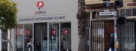 modern animal hospital san francisco.